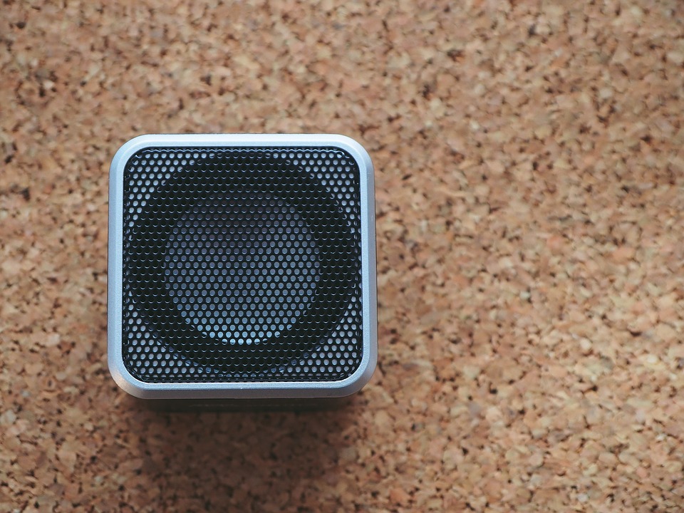 L'assistant vocal